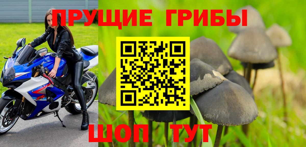 Псилоцибиновые грибы ЛСД  Вход с VPN  Галлюциногенные грибы GOLDEN TEACHER  Сочи 